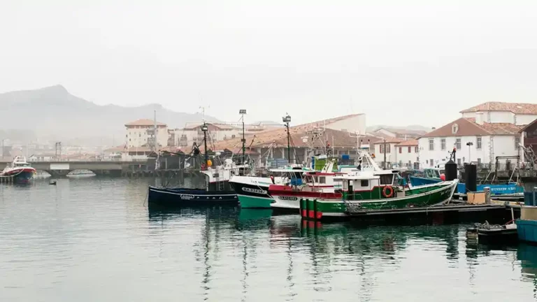 Restaurant Hodeilur Saint Jean de Luz : chalutiers colorés amarrés dans le port sous la brume, façades blanches et toits basques